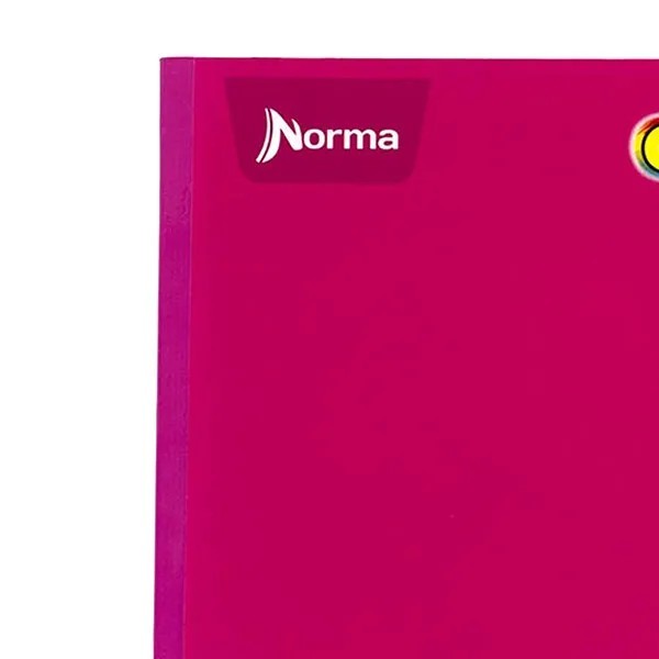 CUADERNO PROF. COLOR NORMA 581283 DIBUJO COS. 100H. PZA